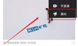 石家庄头条视频爆料,揭秘某重大事件背后真相